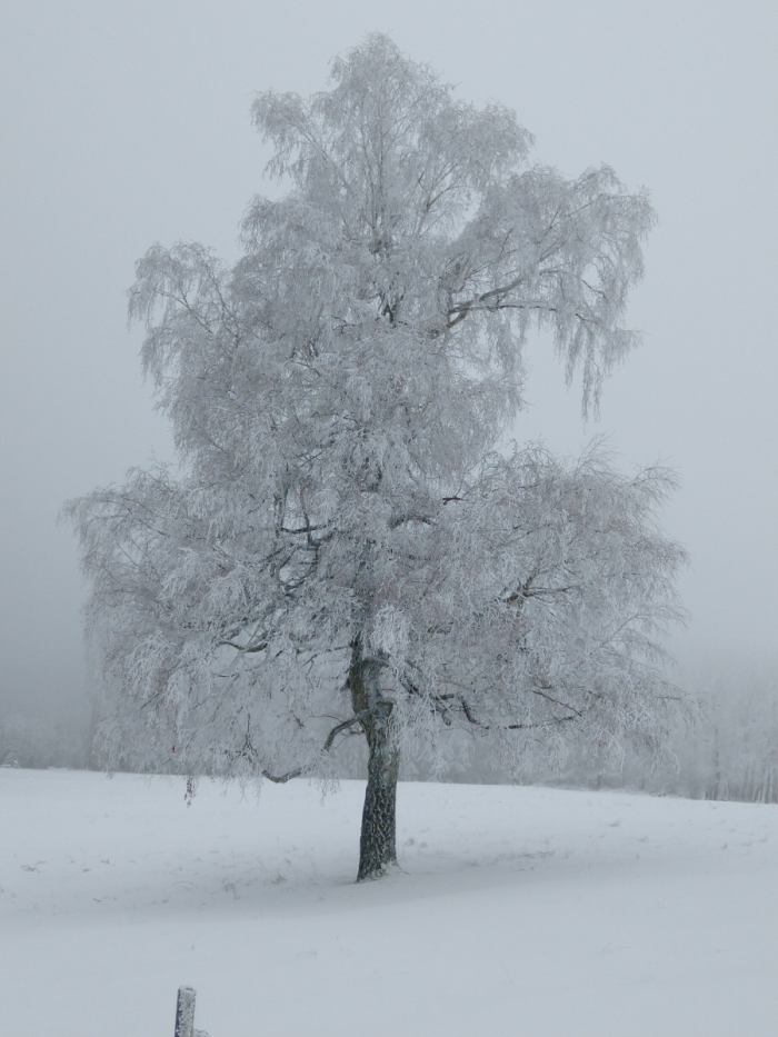 Weihnachten